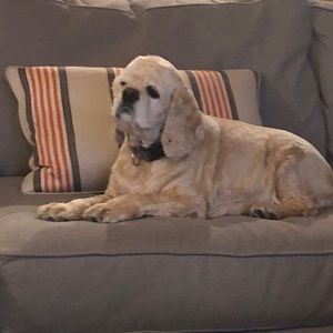 Meet your Posher, Greg